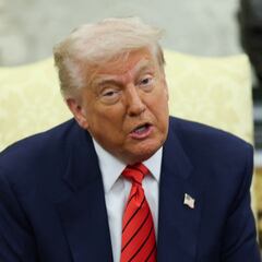 Estos son los ganadores y perdedores del plan presupuestario de Trump: millones de dólares para programas de deportaciones