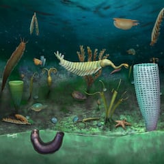 El lugar en el que han descubierto un mundo submarino