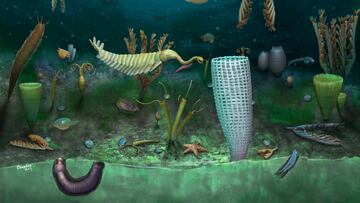 Imagen de la recreaci¨®n del "mundo marino enano" por parte de la Academia China de las Ciencias. Foto: Yang Dinghua