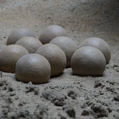 Arqueólogos encontraron un huevo prehistórico y aún no saben qué hay dentro: