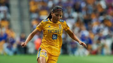 Nancy Antonio, Tigres