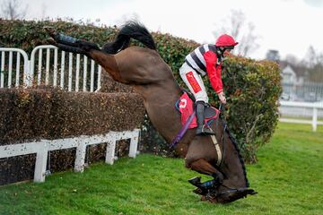 Los aficionados que acudieron al hipódromo de Sandown Park, en Esher (Inglaterra), presenciaron esta aparatosa caída durante la disputa de The Cardinal Wolsey Handicap Chase. El jockey Jamie Moore y su caballo Atholl Street acabaron por los suelos cuando trataban de superar una valla, aunque sin graves consecuencias.