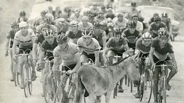 Escarabajos: un país descubierto a pedalazos, homenaje al ciclismo colombiano en la Biblioteca Luis Ángel Arango.