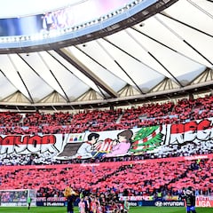Metropolitano: el estadio de los 2,6 millones de hinchas