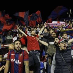 Medio millar de granotas en Cartagonova