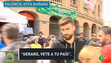 Insultos a Piqué en la Davis