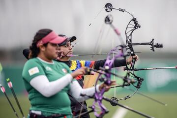 Se convirtió en la primera deportista en consagrarse campeona de las Copas del Mundo de Tiro con Arco en cinco oportunidades. 