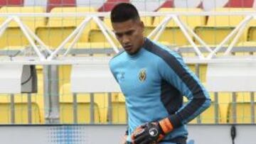 Alphonse Areola.