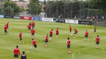 El Atlético se ejercitó ayer en el Cerro del Espino, en la mañana antes del Valladolid-Real Madrid. Todos estuvieron pendientes del Madrid desde sus casas.