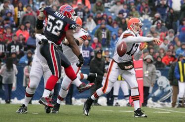 Una imagen, una frase (Jorn. 14)