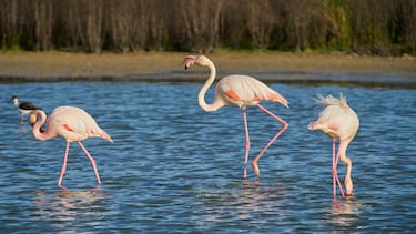 Adis a la playa: los 10 lagos ms bonitos de Espa?a para visitar en noviembre