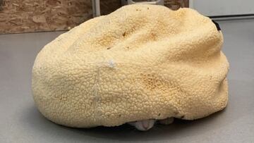 Una mujer nota que su almohada empieza a moverse solita así que le hace el aviso más bonito: “¡Estoy aquí debajo!”