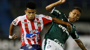 Luis D&iacute;az en el partido entre Junior y Palmeiras por Libertadores