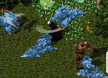 Dura jornada para Ultima Online