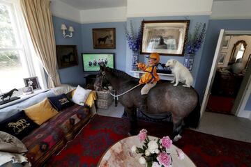 El pequeño Merlin Coles III mira las carreras de caballos en el hipódromo de Ascot en la televisión de su casa en Bere Regis, en el condado de Dorset, Inglaterra. Lo curioso de la escena es que aparece ataviado como un auténtico jockey junto a su perro, Mistress, y a lomos de su pony, El Señor Glitter. Y sin salir del salón de casa.