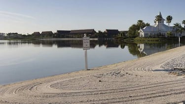 Un cocodrilo arrastra a un niño a una laguna en Disney World