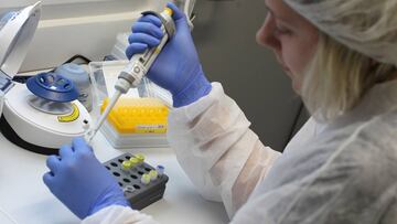 A staff manipulates samples on June 30, 2020 at a laboratory of German biotech company Centogene, which opened a walk-in testing centre at the airport in Frankfurt am Main. - Frankfurt airport opened a walk-in testing centre on June 29, 2020 where passengers can pay to take a coronavirus test and get their results within hours, in a bid to reassure anxious travellers as the summer holidays kick off. Passengers will be notified of the result via a "secure digital platform" and the information can be connected to a boarding pass for those flying to countries requiring a negative test before entering, German biotech Centogene said in a statement. (Photo by Daniel ROLAND / AFP)
