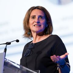 ¿A qué se dedicaba Teresa Ribera (PSOE) antes de ser política, qué formación tiene y cuál es su profesión?