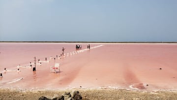 Así luce en temporada el mar rosado de Colombia.