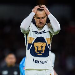 Aaron Ramsey launches dog appeal