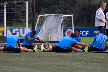 El equipo argentino hizo un trabajo regenerativo en la cancha principal de la Federación Colombia de Fútbol. Villa y Fabra, los dos colombianos presentes. 