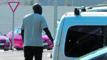 Los 'gorrillas' campan a sus anchas por el estadio