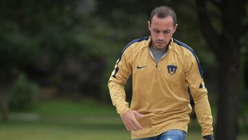 Cómo y dónde ver el Necaxa vs Pumas; horario y TV online