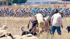 La hora de los lobos