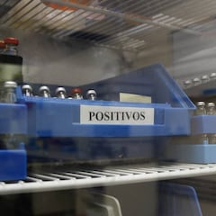 El presidente sancionado no dimite