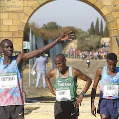 Aplazado el Cross de Itálica del próximo mes de enero