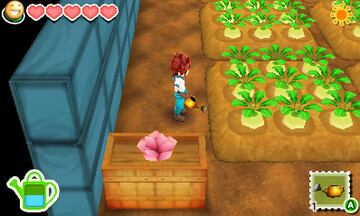 Captura de pantalla - Story of Seasons (3DS)