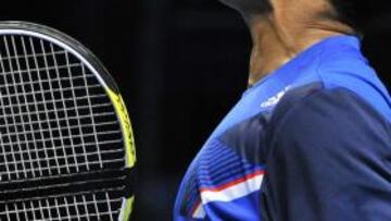 El francés Tsonga impone su fuerza ante Mardy Fish