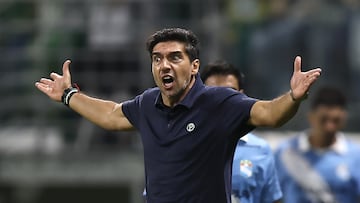 AME4325. SAO PAULO (BRASIL), 16/04/2026.- El entrenador de Palmeiras, Abel Ferreira reacciona este jueves, en un partido de la fase de grupos de la Copa Libertadores entre Palmeiras y Sporting Cristal en el estadio Allianz Parque en Soa Paulo (Brasil). EFE/ Isaac Fontana