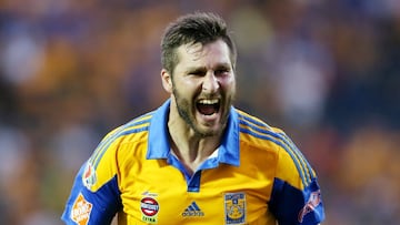 André-Pierre Gignac. Futbolista francés que llegó a Tigres como el fichaje bomba del fútbol mexicano, llegó a 50 goles en cuatro torneos que ha disputado con los felinos. Un crack!. 31 años.