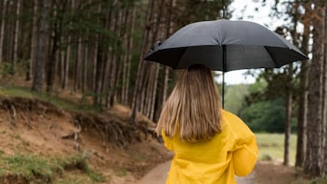 Adiós a llevar el paraguas siempre en la mano: el modelo con asa de mosquetón que triunfa en Amazon en su página web.