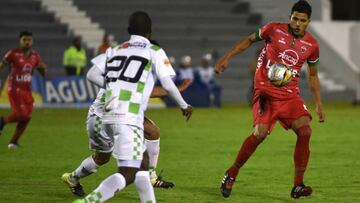 Patriotas hace el milagro, jugará los play-offs
