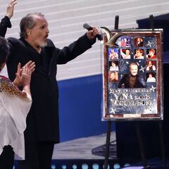 Miguel Bosé, Bombo Fica e Illapu se llevan todos los premios