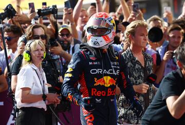 Alegría del piloto neerlandés tras proclamarse campeón del Gran Premio de Hungría de Fórmula 1.