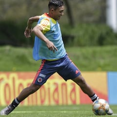 Más que el Cucho: los otros 5 cracks de Colombia en Polonia