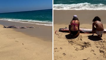 Aparecen dos peces que predicen el fin del mundo: llevaba sin pasar mucho tiempo