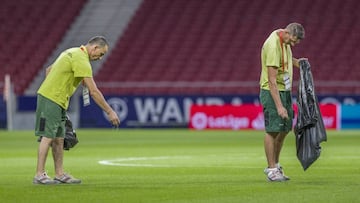 Operarios del Wanda Metropolitano trabajando en el mantenimiento del c&eacute;sped del estadio donde juegan el Atl&eacute;tico de Madrid y el Rayo Majadahonda.