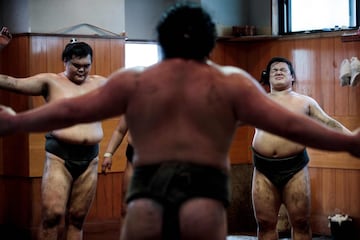  Luchadores de sumo entrenando en Tokio.