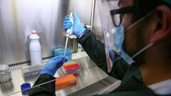 Coronavirus en Perú: resumen y casos del 23 de mayo