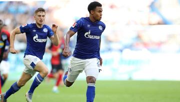 Weston McKennie reaches the big fifty in the Bundesliga