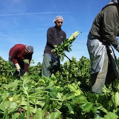 Propuesta en California podría otorgar papeles a indocumentados por denunciar delitos