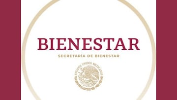 Secretaría del Bienestar empleo