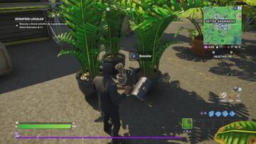 Rescatamos a Groot arbolito de Setos Sagrados