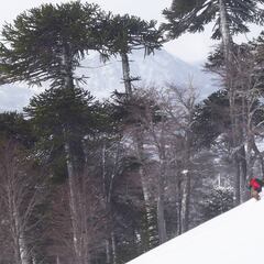 El sur de Chile se tomará el Freeride World Qualifier