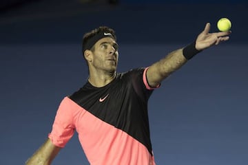 Juan Martín del Potro en la final del Abierto Mexicano de Tenis