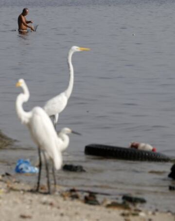 La ciudad de Río de Janeiro continúa recibiendo las críticas a nivel local y en el extranjero por el estado en el que se encuentran las aguas donde se tiene previsto realizar las competiciones como la maratón de natación, vela y los eventos de triatlón de los Juegos Olímpicos de 2016. Sin tratamiento de aguas residuales y llenas basura las playas de Copacabana y la Bahía de Guanabara, se encuentran en un estado desastroso
